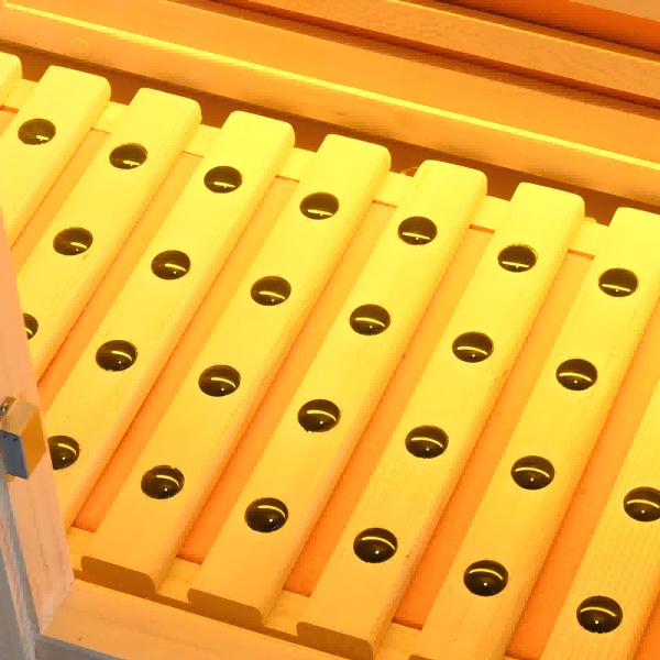 3人用家庭用サウナルーム